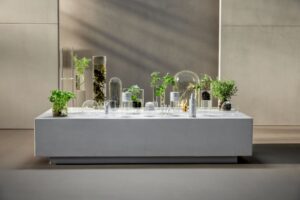 Babor és ClinicCare prémium kozmetikai termékek a kezelésekhez